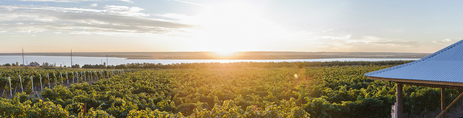 _IND9414 Panorama.jpg