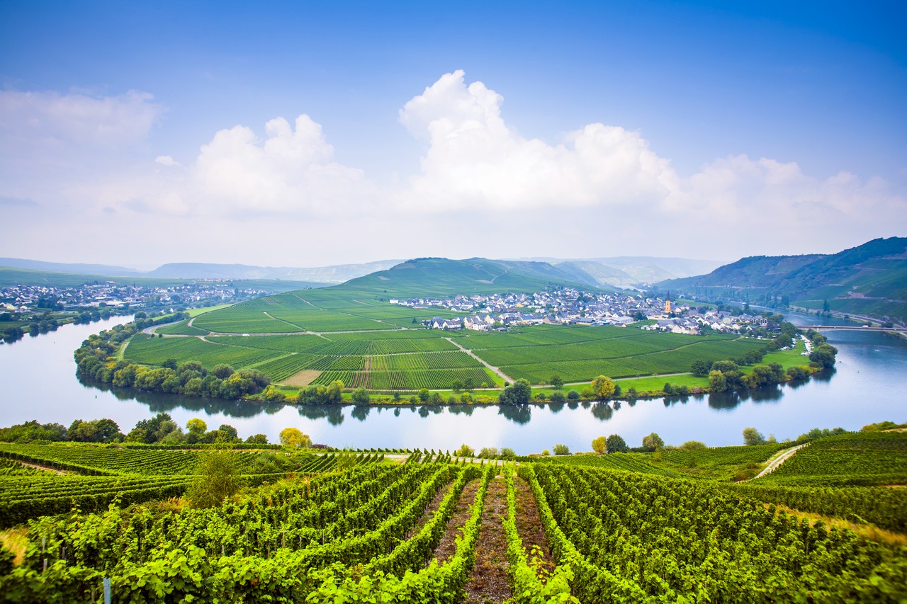 Trittenheim-Mosel-Germany6 (Копировать).jpg