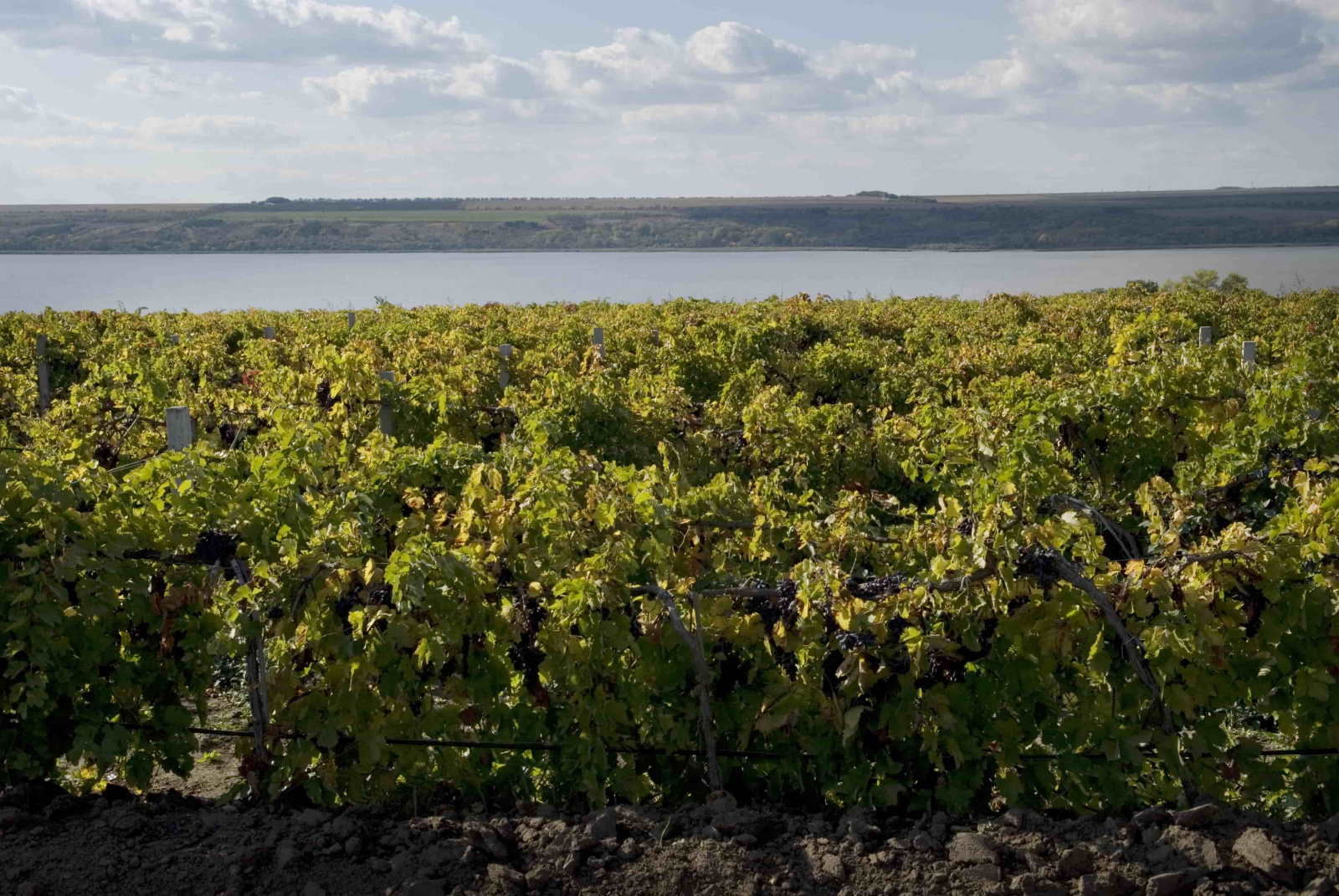 озеро Ялпуг