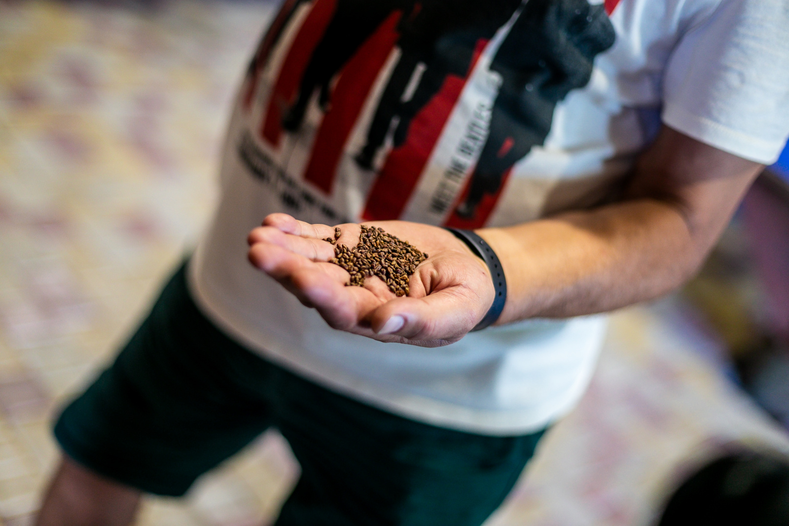 олія з виноградних кісточок.jpg