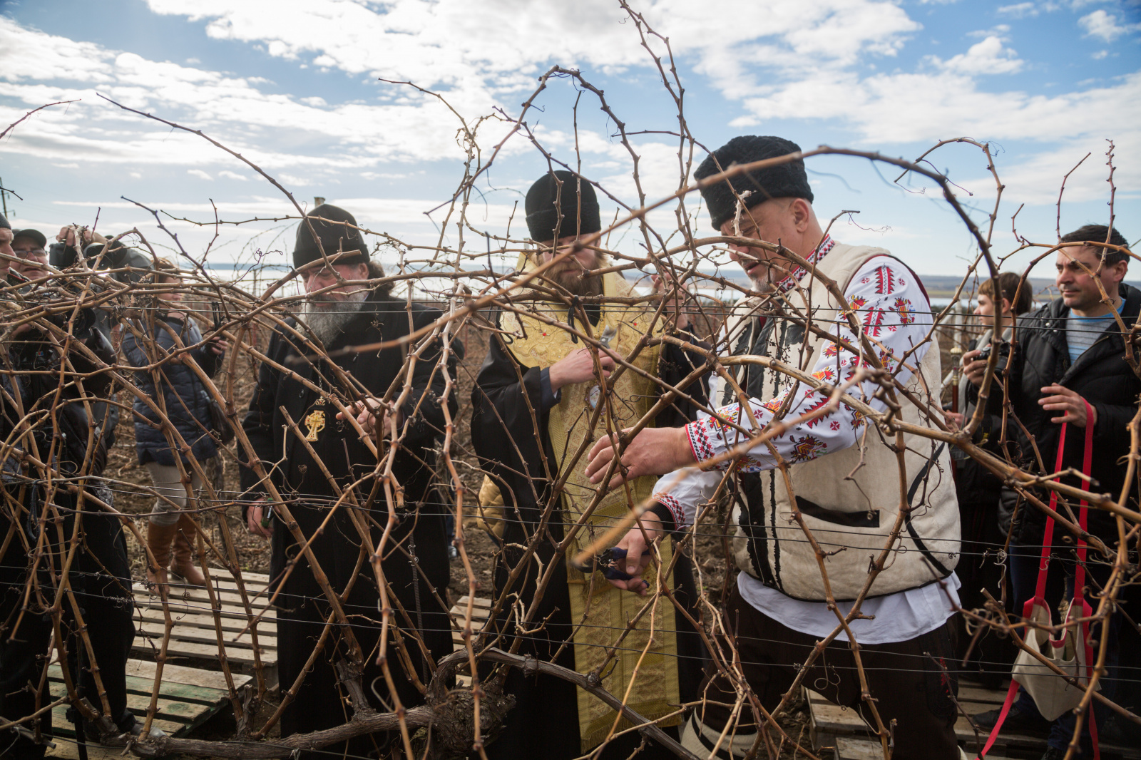 Трифон Зарізан - свято обрізки лози