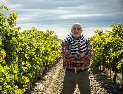 Сорт вину голова