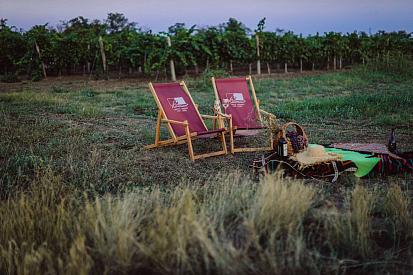 Вино як ліки