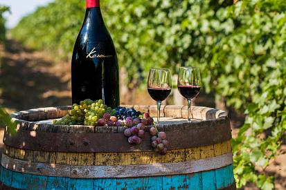 ТУР НА СІМЕЙНУ ВИНОРОБНЮ КОЛОНІСТ